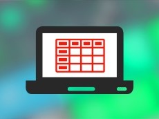 Web Design Development